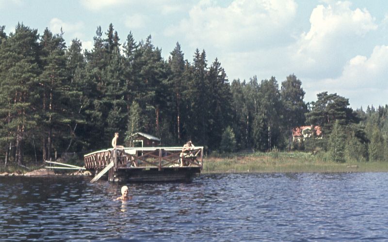 Hinsnoret 1955.