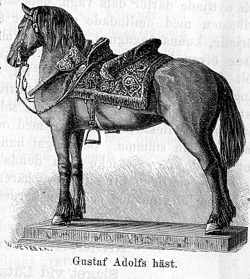 Gustaf Adolfs h&auml;st.