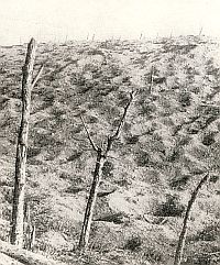 Verdun battlefield.