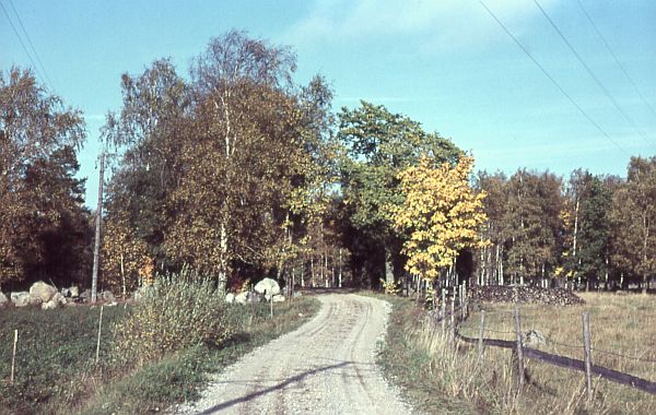 "Lilla backen" på Salta gård.