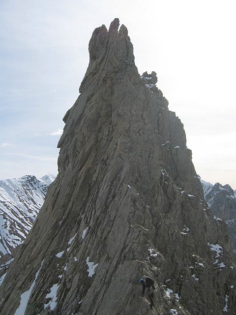 Les Ar&ecirc;tes de la Bruy&egrave;re.