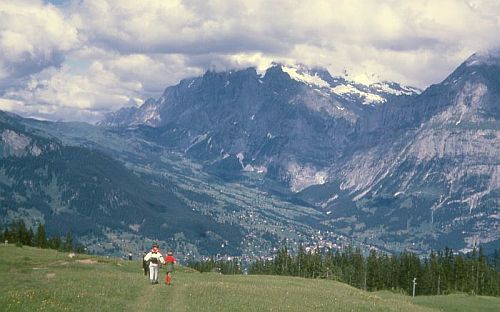 View from Männlichen toward Grindelwald.